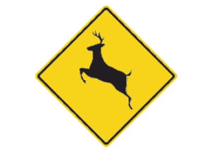 Fauna silvestre